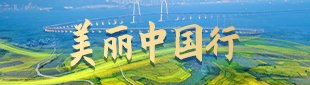链接芯片与场景